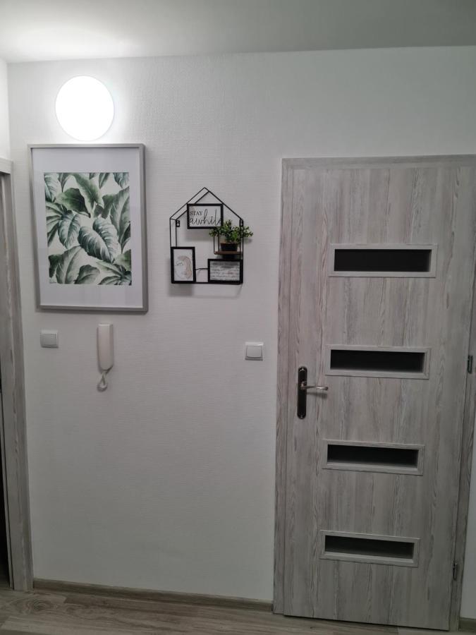 Apartament Nova Przy S3 노바 솔 외부 사진